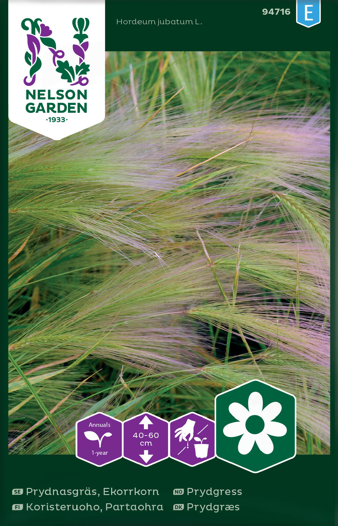 Prydnadsgräs, silkeslen korn